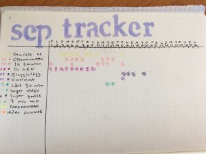 monthly tracker BuJo